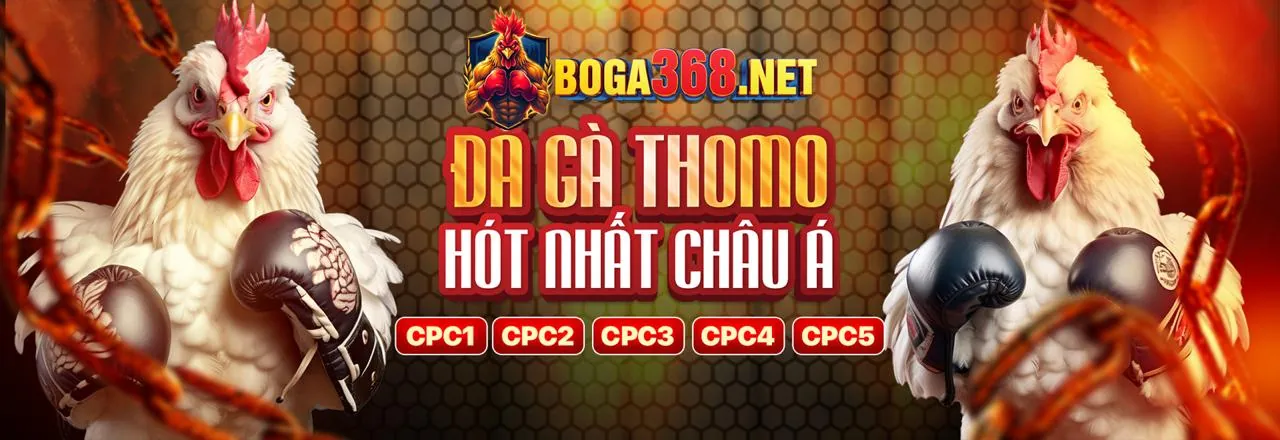 Hình ảnh đa dạng các trò chơi tại gk8888 chính thức